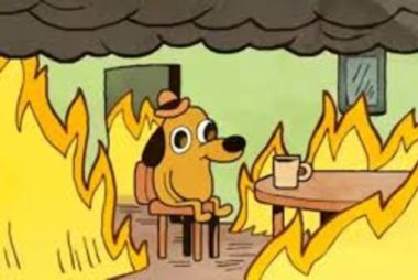 this is fine